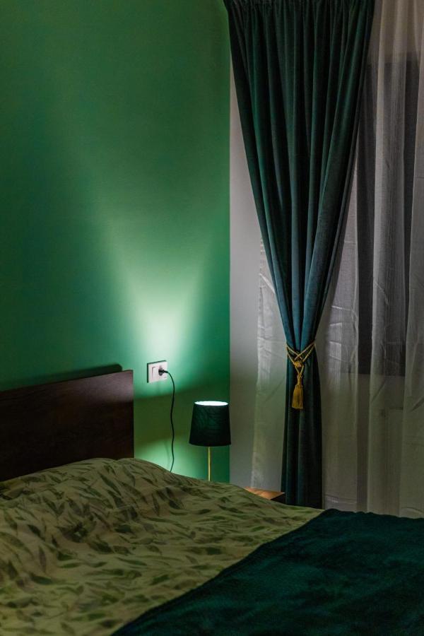 Brigitte Apartment Brasov Bagian luar foto