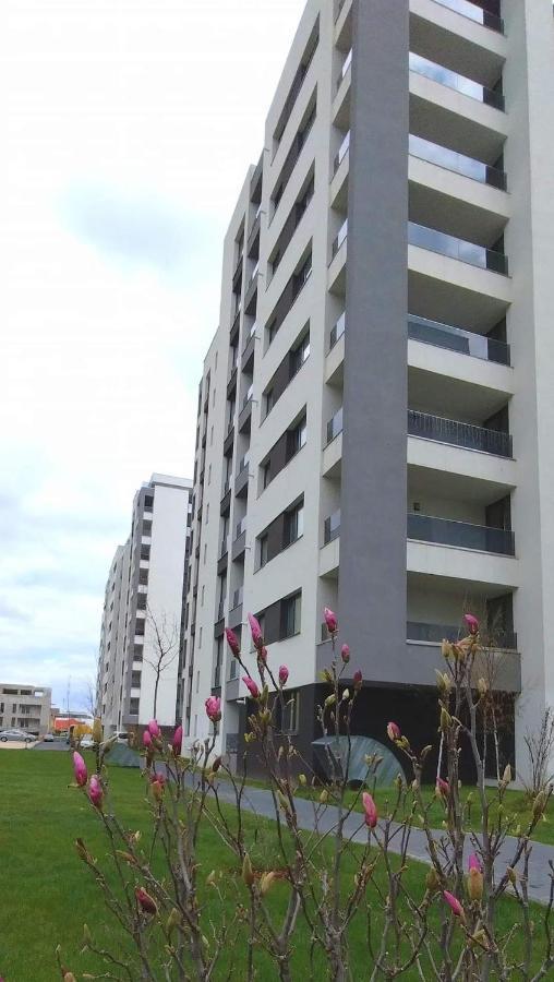Brigitte Apartment Brasov Bagian luar foto