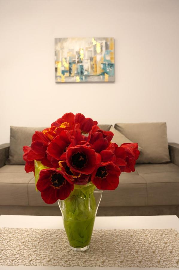 Brigitte Apartment Brasov Bagian luar foto