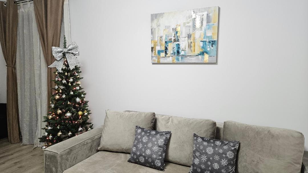 Brigitte Apartment Brasov Bagian luar foto