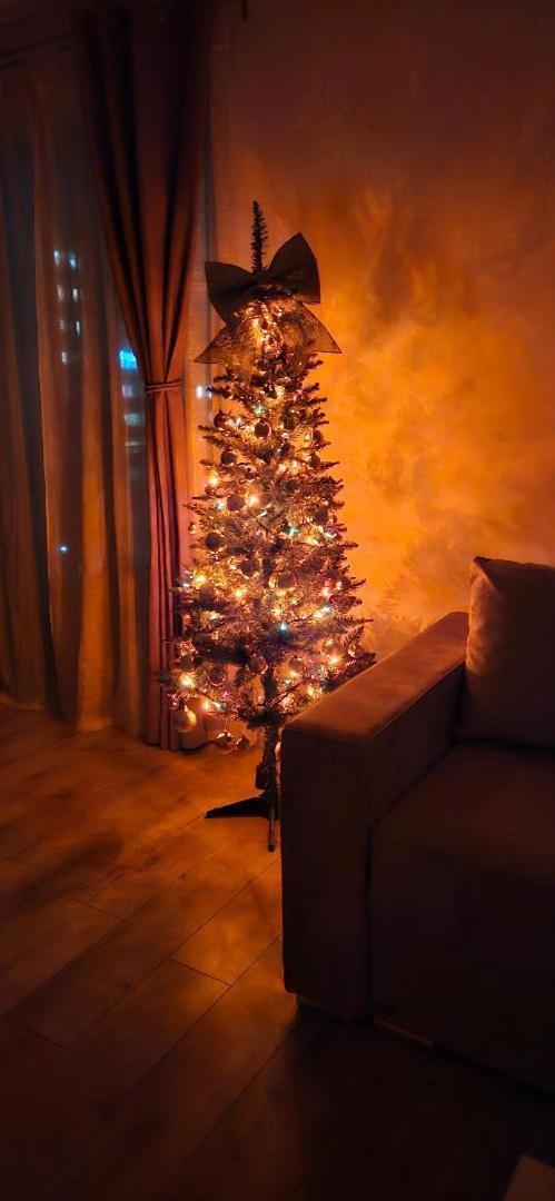 Brigitte Apartment Brasov Bagian luar foto